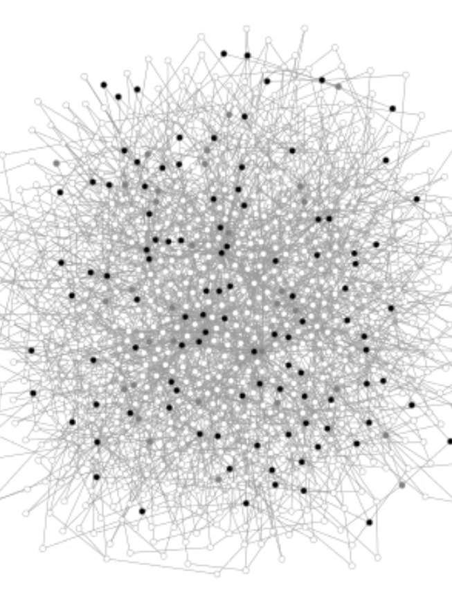 A network-based SIR simulation of a COVID-19 outbreak.